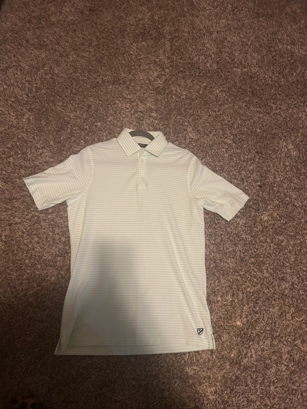 Daniel Cremieux Pale Green Striped Polo